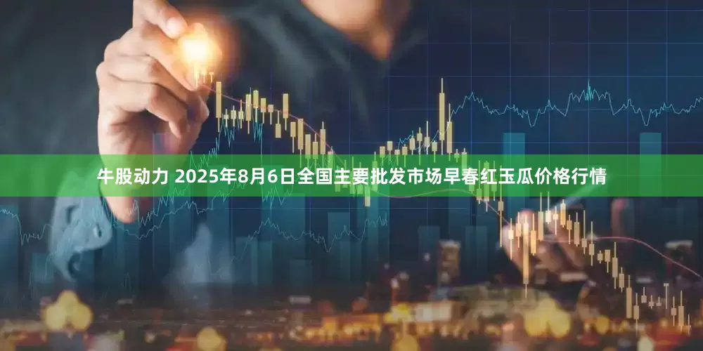 牛股动力 2025年8月6日全国主要批发市场早春红玉瓜价格行情